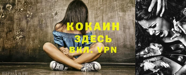 шишки Абинск