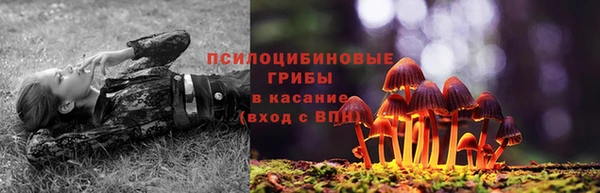эйфоретик Абаза