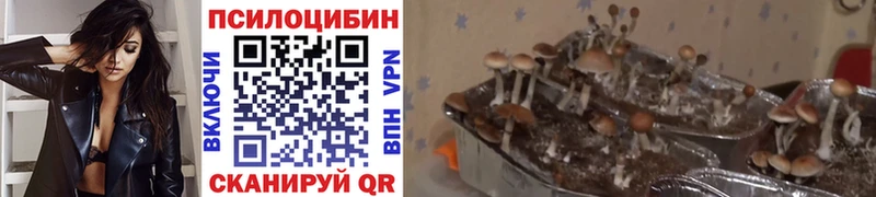 Псилоцибиновые грибы мухоморы  Александров 